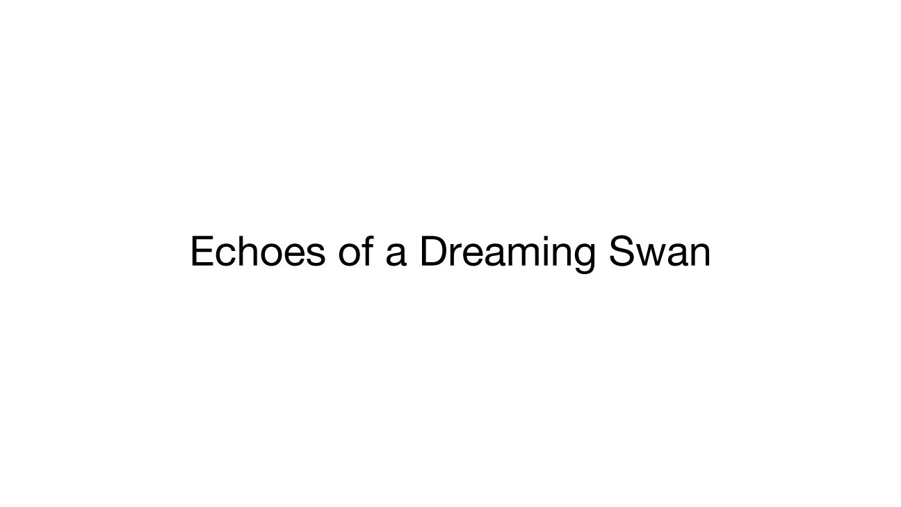 Echoes of a Dreaming Swan project page 6