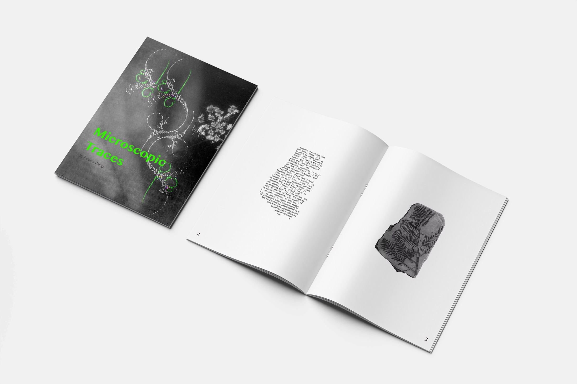 Microscopic Traces project page 3