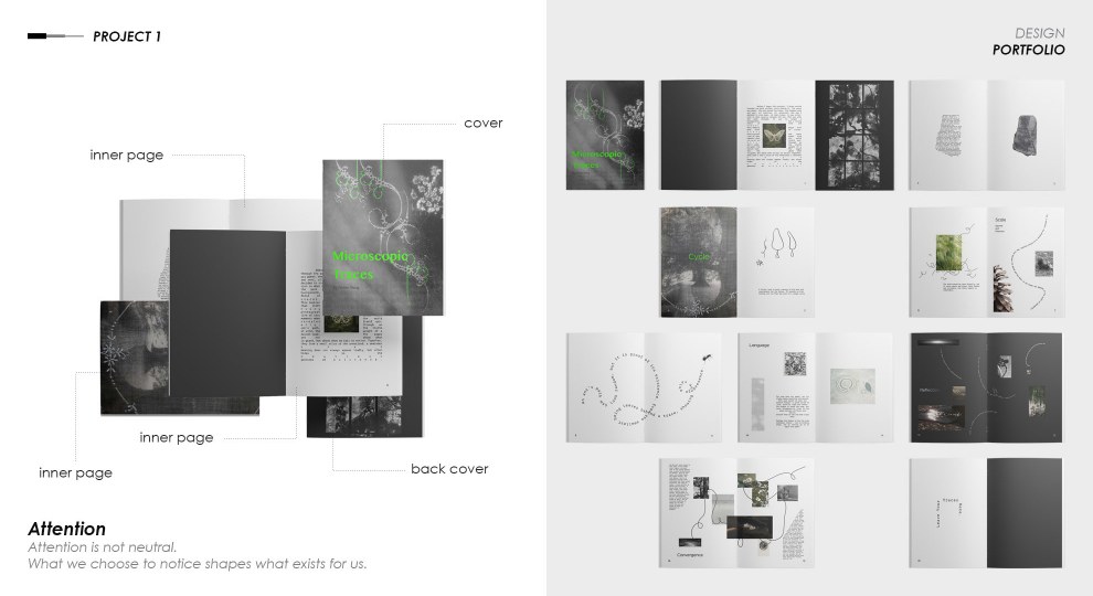 Microscopic Traces project page 5