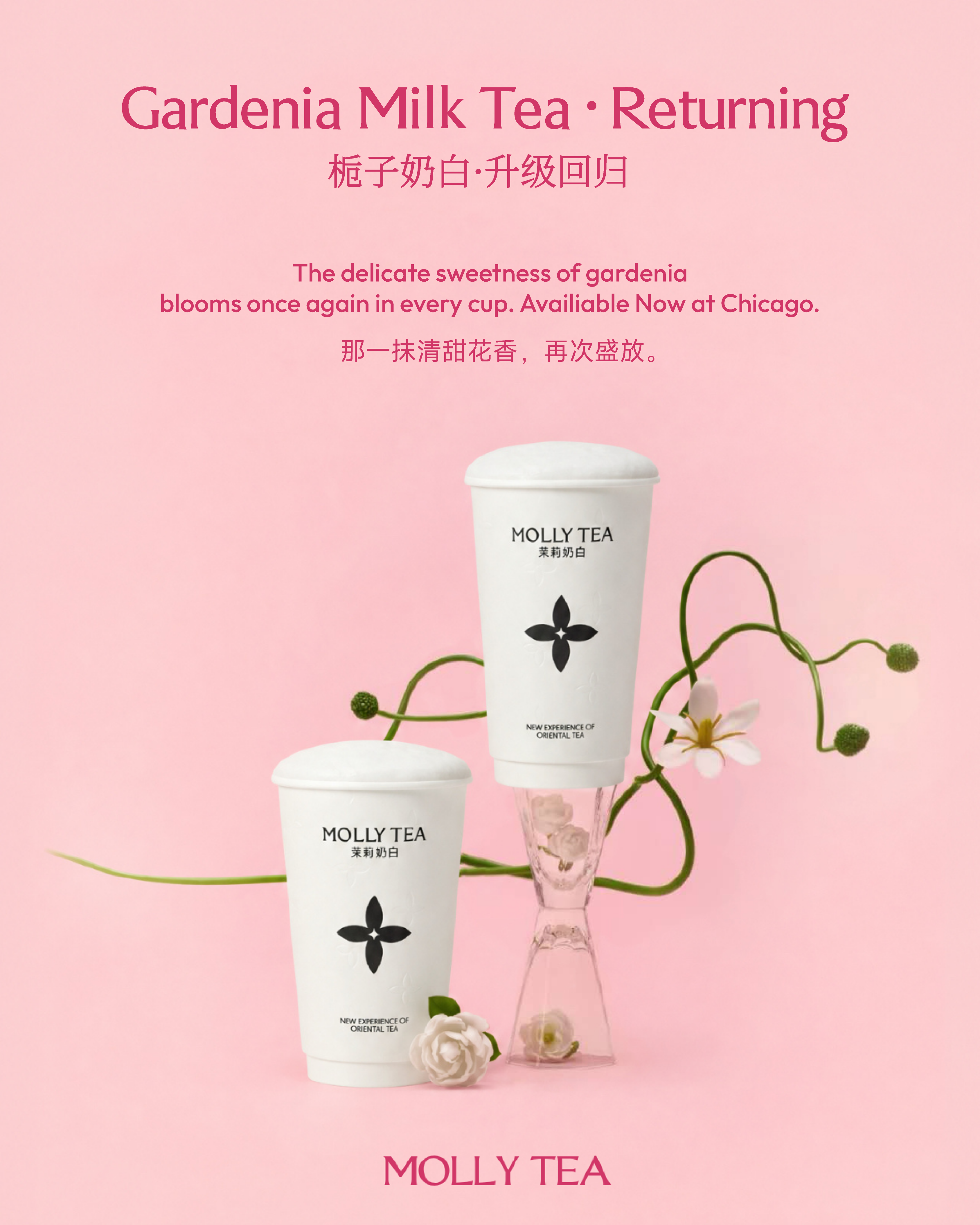 Molly Tea project presentation